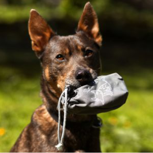 Biobasierte Hundekot BEUTEL SPENDER inkl. Beutel