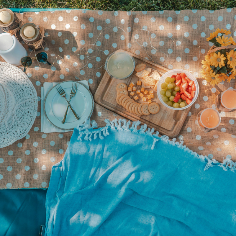 picknickbanner_Deval Parikh