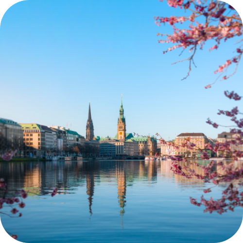 hamburg_Alster_Kirschbluete