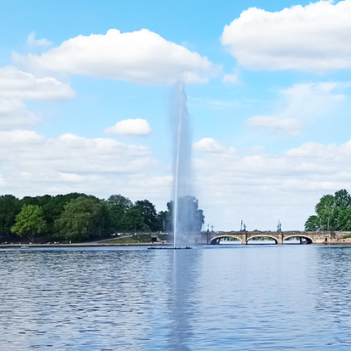 startbanner_alster