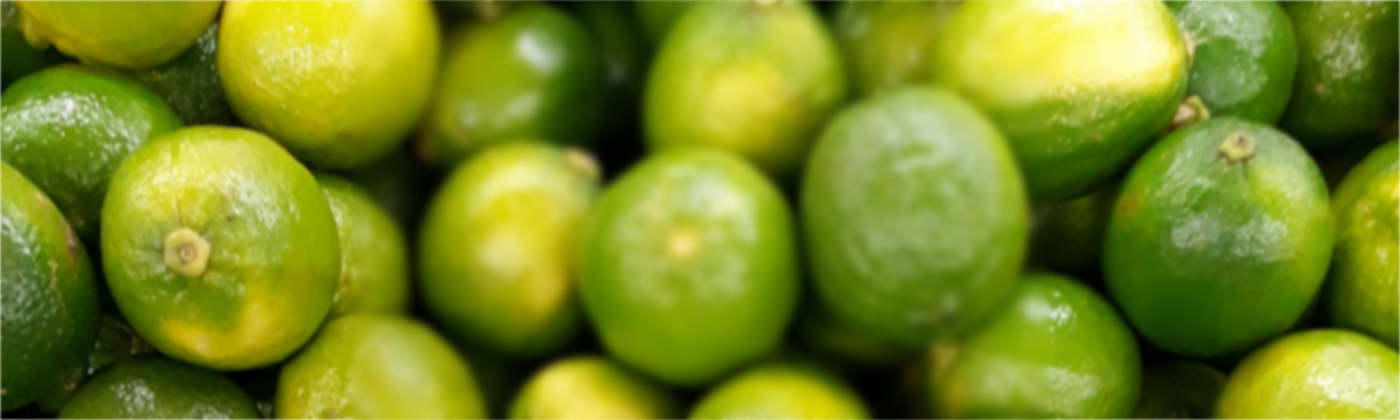 hamburg_shop_lemonaid_banner